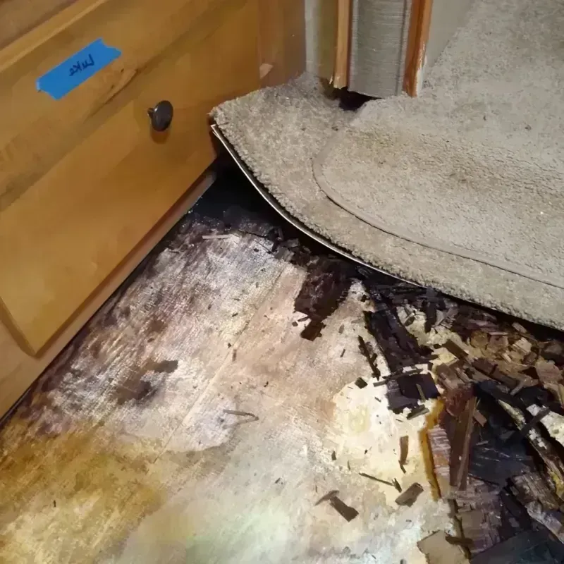 Wood Floor Water Damage in Spring Creek, NV